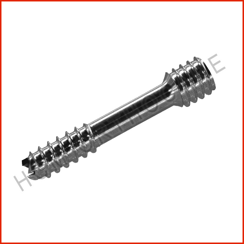 Locking Screws