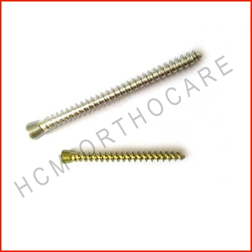 Locking Screws