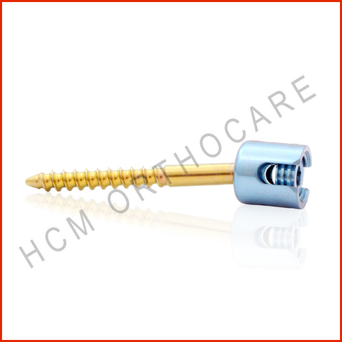 Posterior Cervical Screw