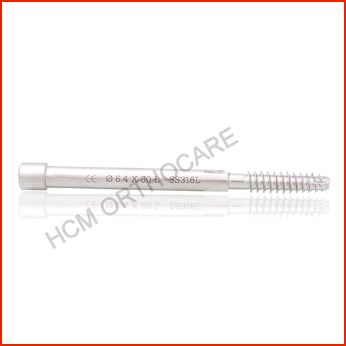 6.4-mm-pfn-leg-screw - HCM Ortho 6.4-mm-pfn-leg-screw