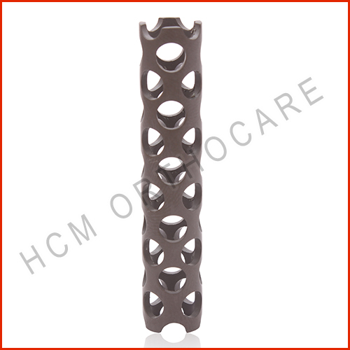 17.1 - HCM Ortho Spinal Mesh Cage